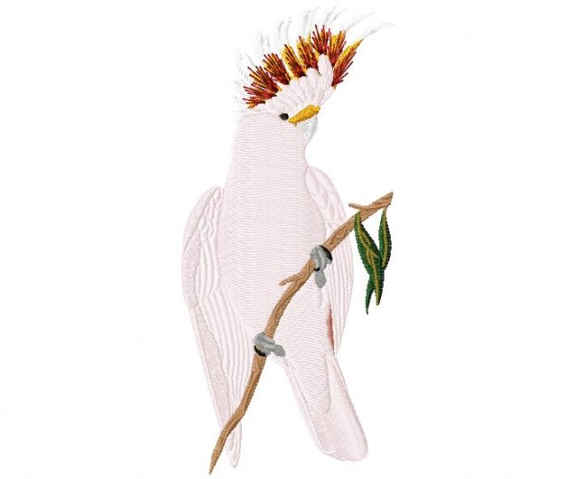 RMG327 Pink Cockatoo