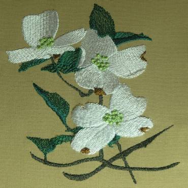 BFC0329 Watercolor Dogwood