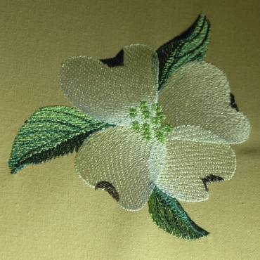 BFC0329 Watercolor Dogwood