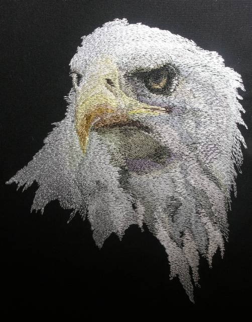 BFC0334 Eagles and Wolves