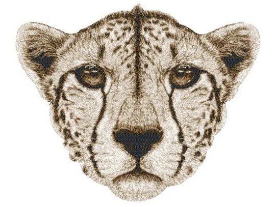 RMG3359 Cheetah