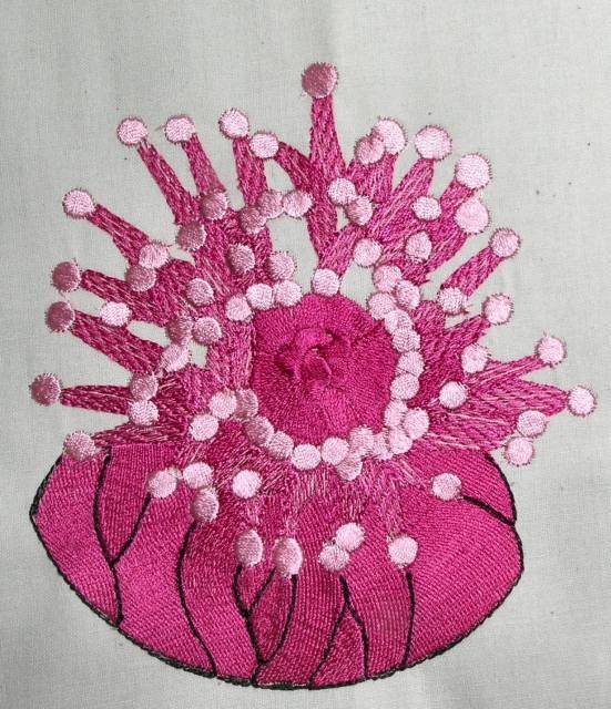 BFC0341 Coral Reef