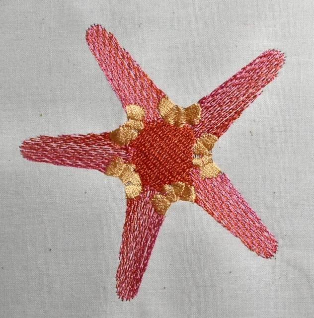 BFC0341 Coral Reef
