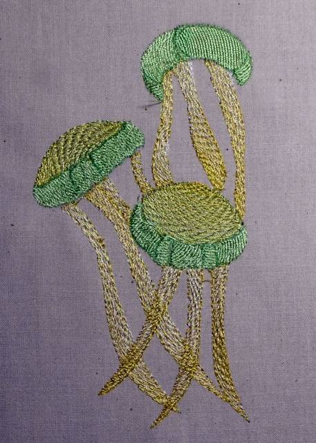 BFC0341 Coral Reef
