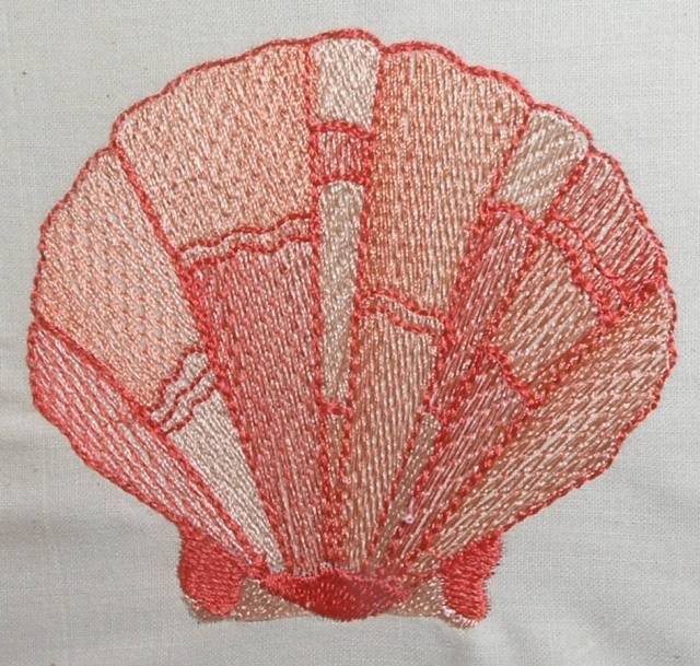 BFC0341 Coral Reef