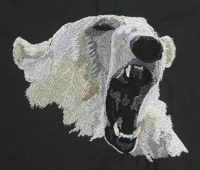 BFC0350 Bears