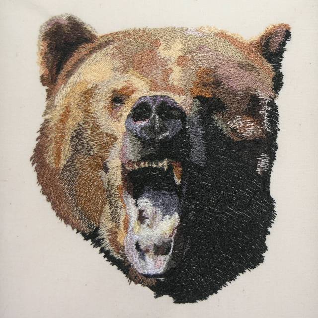 BFC0350 Bears
