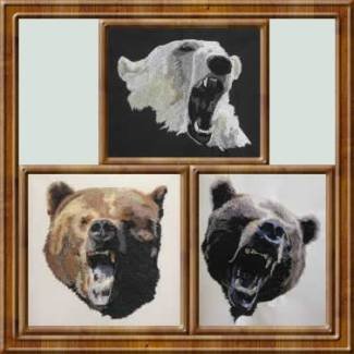 BFC0350 Bears