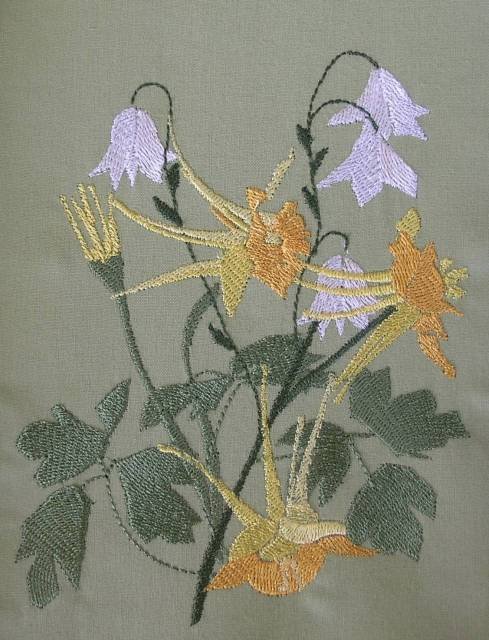 BFC0352 Columbines