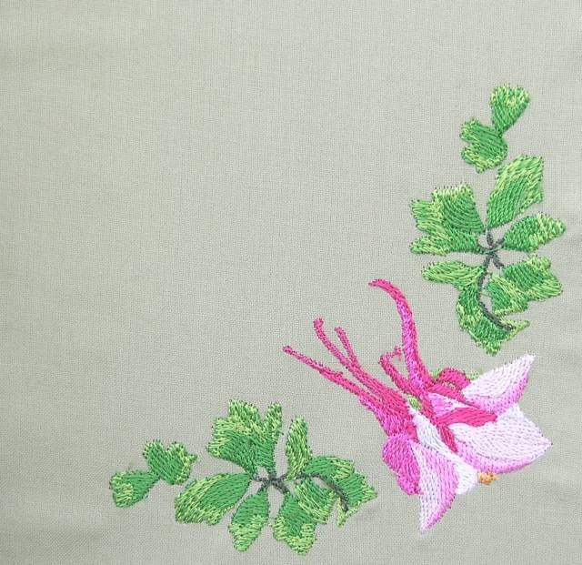 BFC0352 Columbines