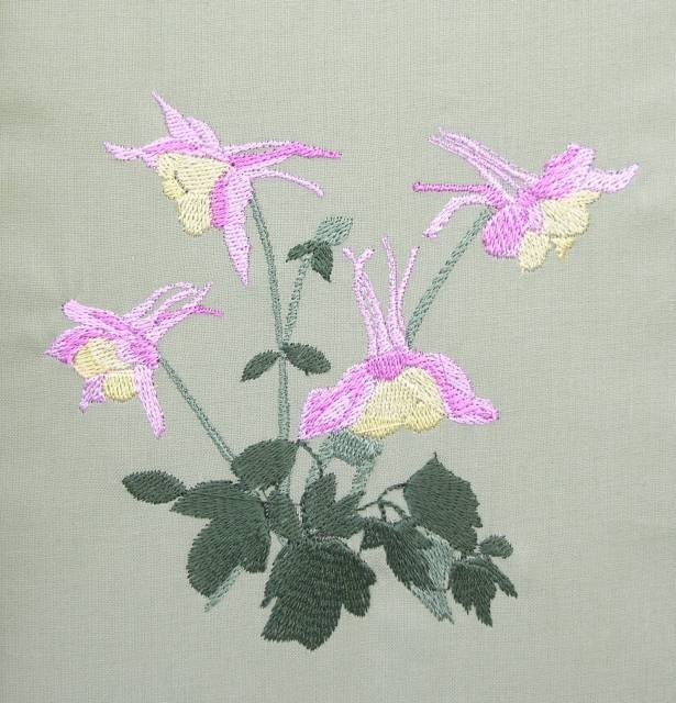 BFC0352 Columbines