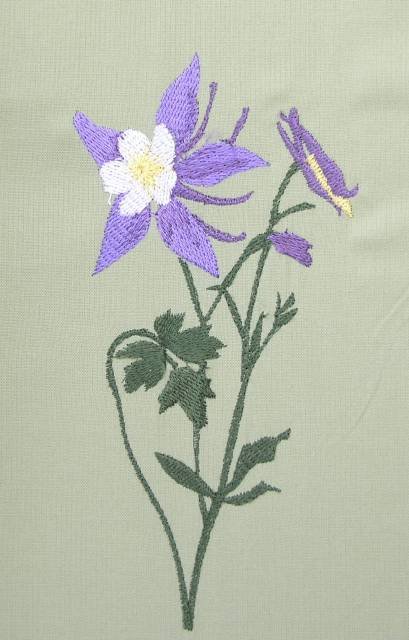 BFC0352 Columbines
