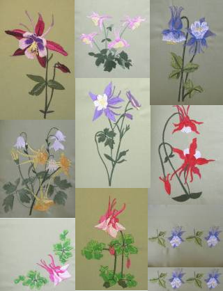 BFC0352 Columbines