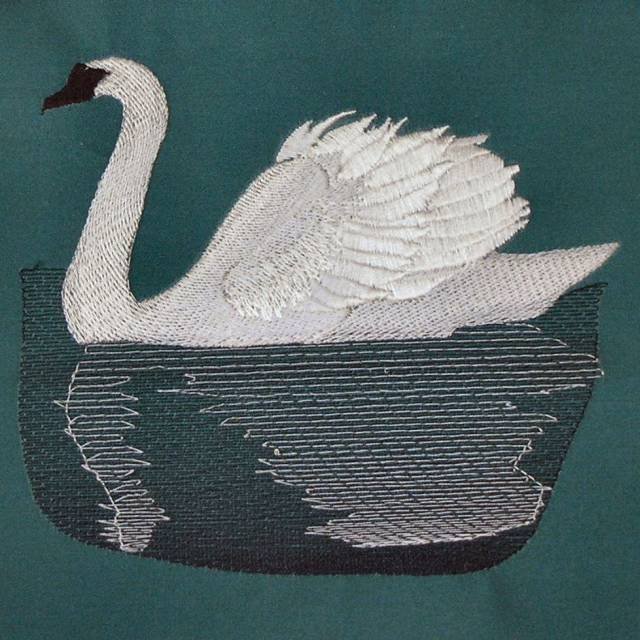 BFC0361 Swans & Water Lilies
