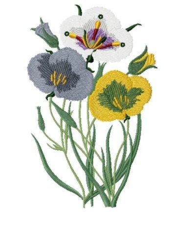 RMG3617  Floral