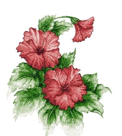 RMG3618 Hibiscus