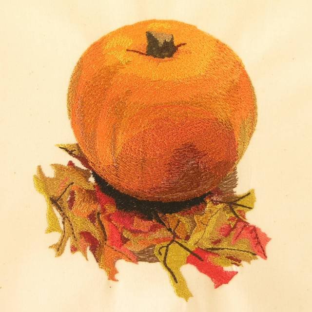 BFC0363 Autumn