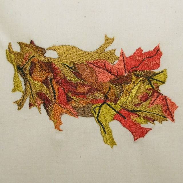 BFC0363 Autumn
