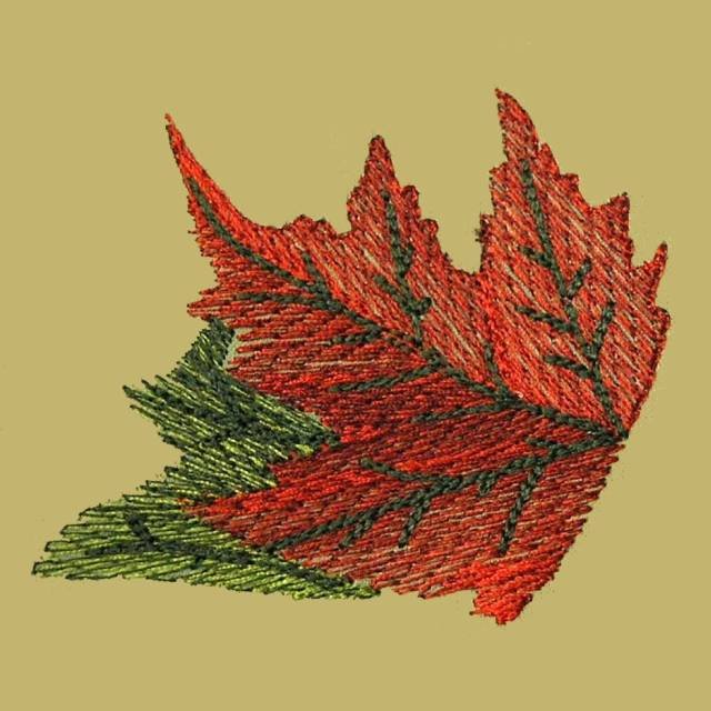 BFC0366 Cornucopia Designs