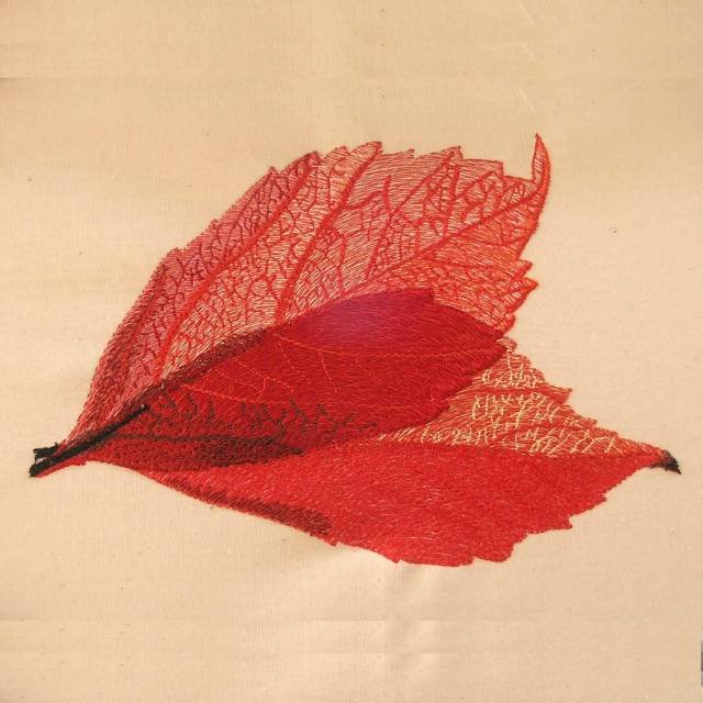 BFC0369 Autumn II