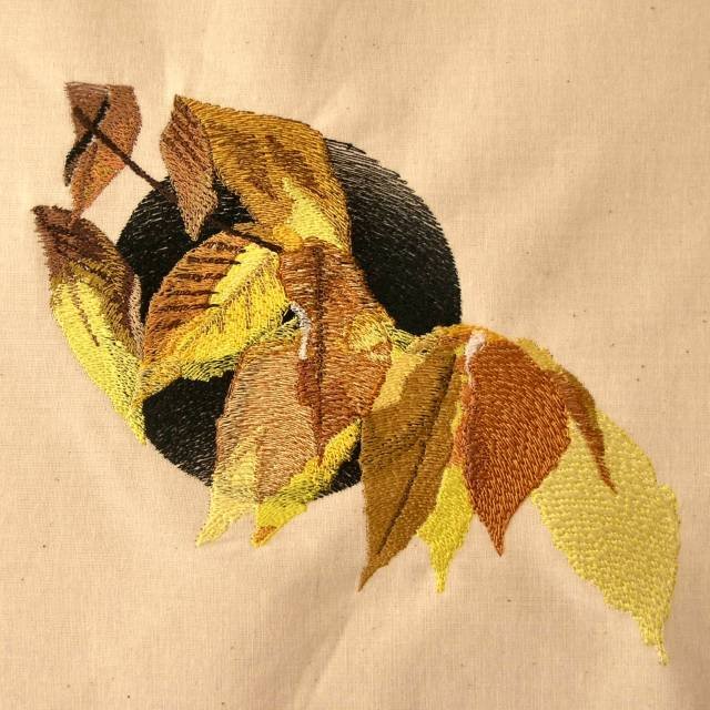 BFC0369 Autumn II