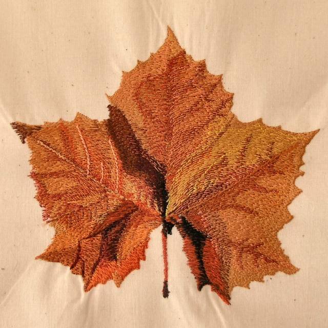 BFC0369 Autumn II