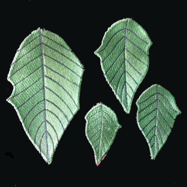 BFC0374 Poinsettias