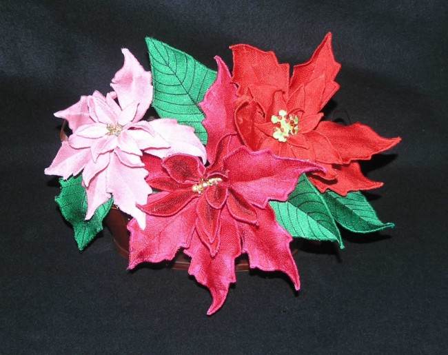 BFC0374 Poinsettias