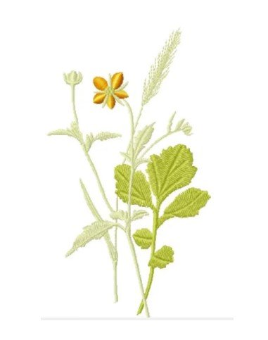 RMG3750 Buttercup