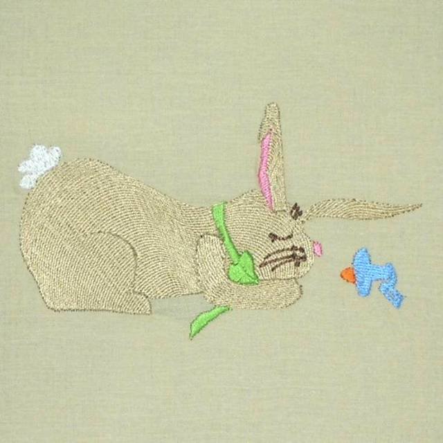 BFC0376 Bunnies