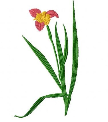 RMG376 Lily