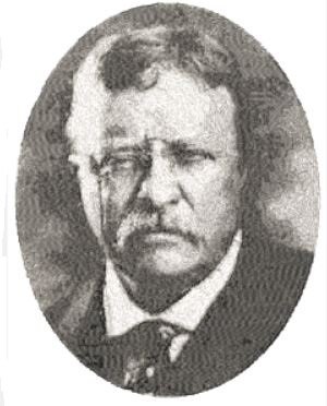 RMG3776  Theodore Roosevelt