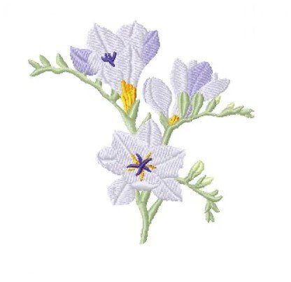 RMG3802  Freesia