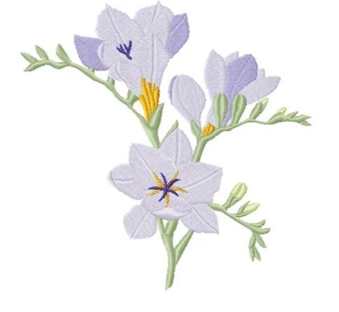 RMG3802  Freesia