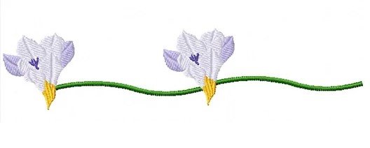 RMG3802  Freesia