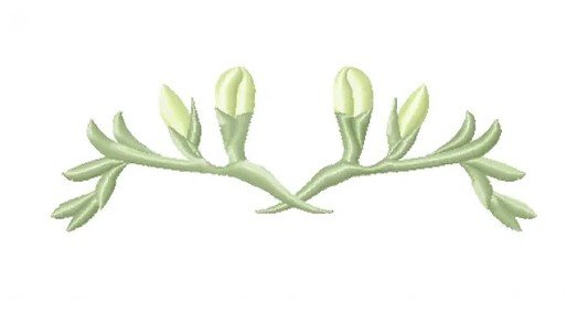 RMG3802  Freesia