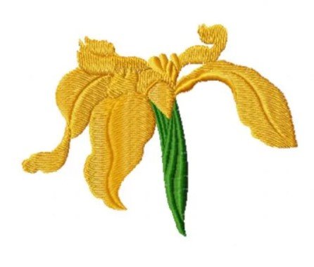 RMG3808 The Golden Iris