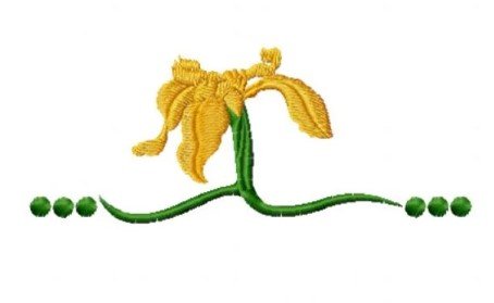 RMG3808 The Golden Iris