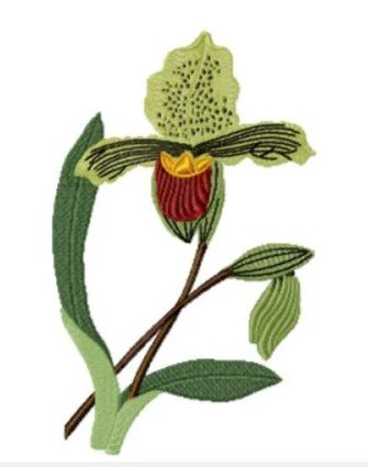 RMG3851 Breathing Orchids