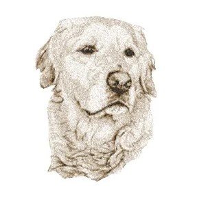 RMG3871  Fred