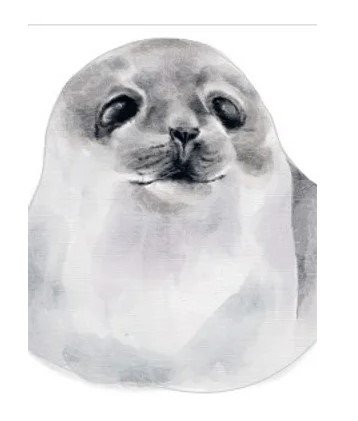 RMG3887  Seal