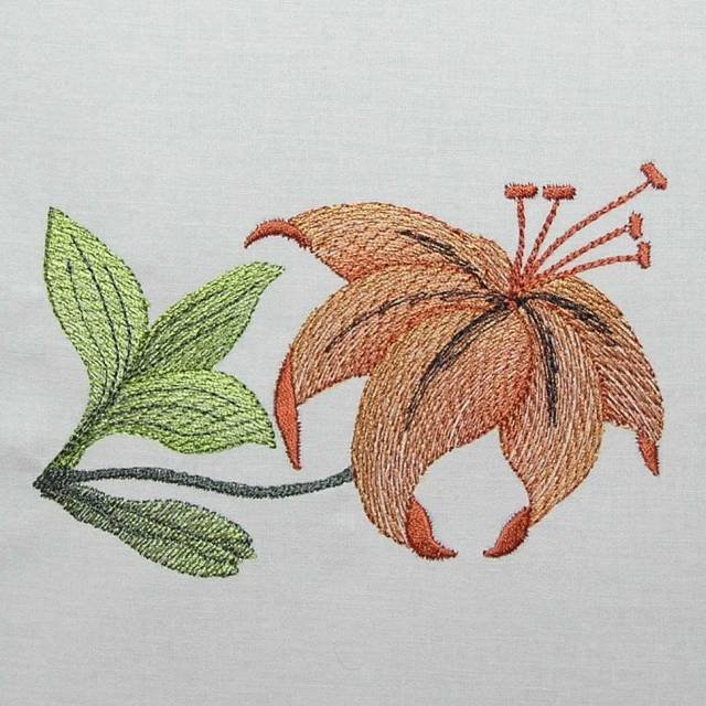 BFC0392 Floral Borders