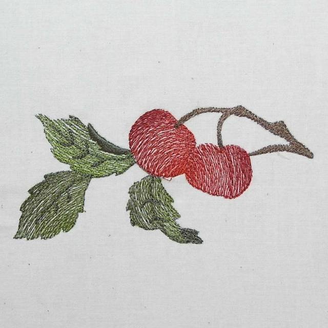BFC0392 Floral Borders