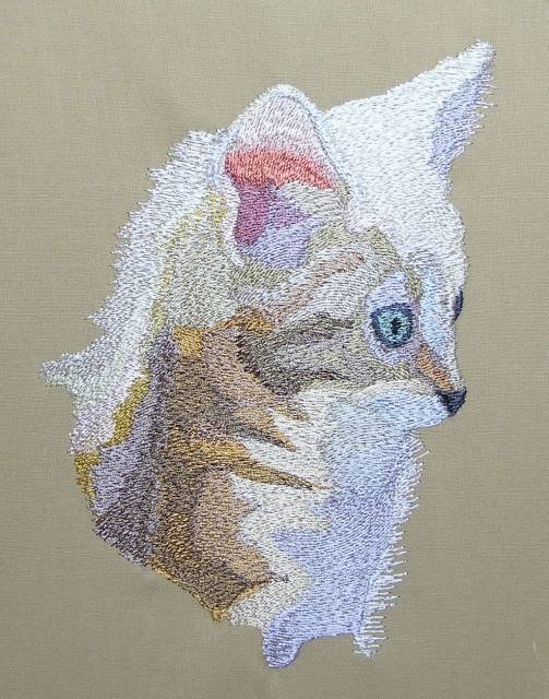 BFC0401 Kittens