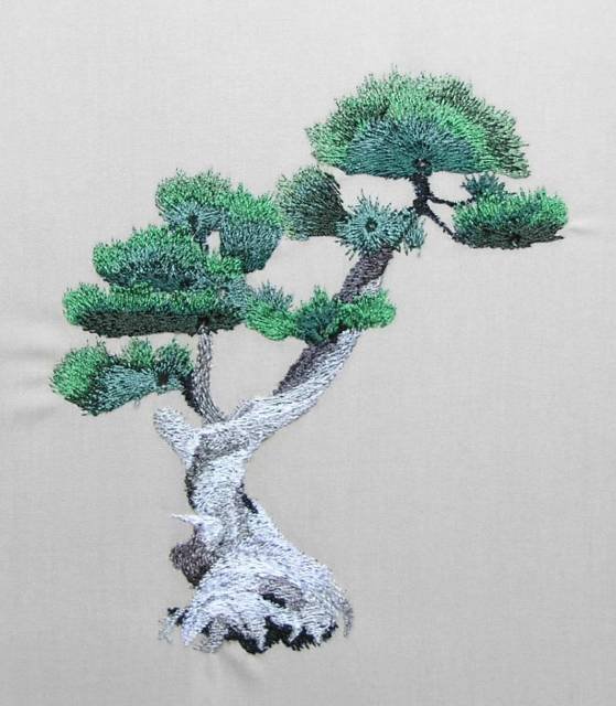 BFC0402 Bonsai