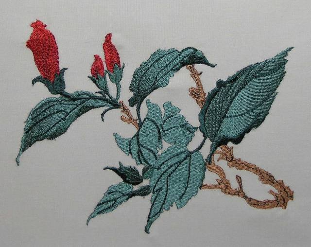 BFC0413 Floral Combos I