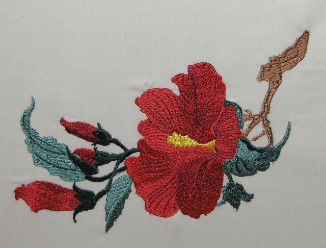 BFC0413 Floral Combos I
