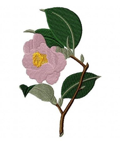 RMG421 Rose Camelia