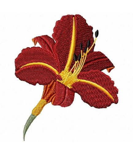 RMG422 Tawny Day Lily 2
