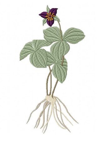 RMG424 Trillium